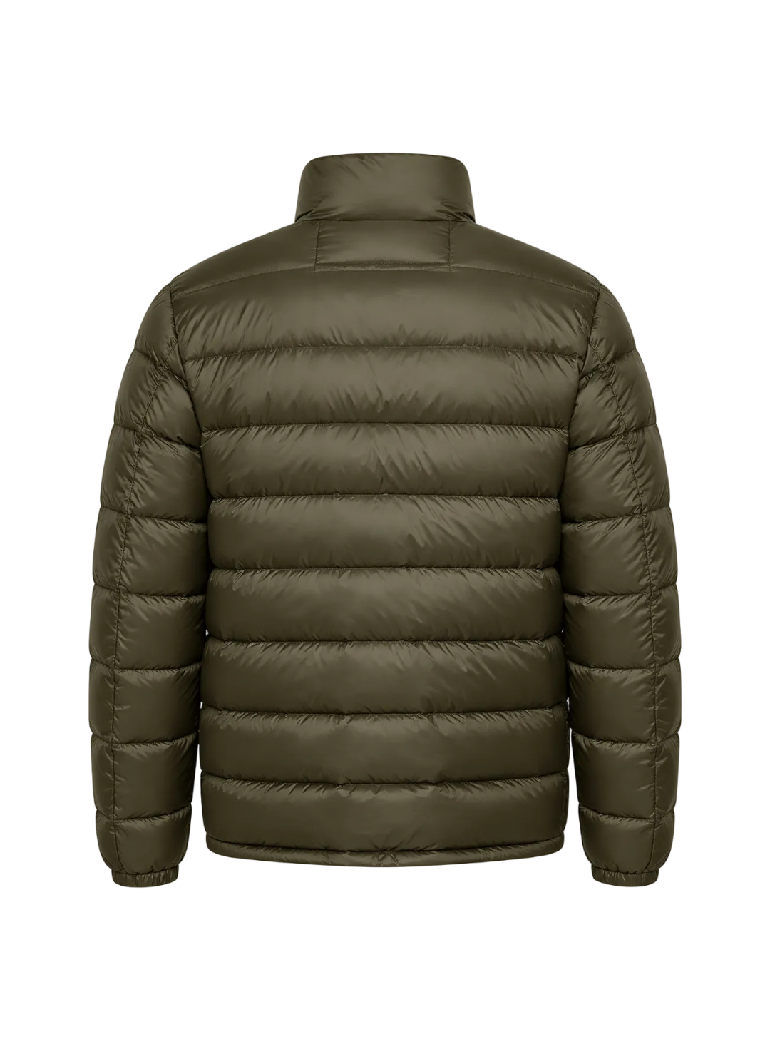 JOU DOWN LINER | GREEN LIZARD