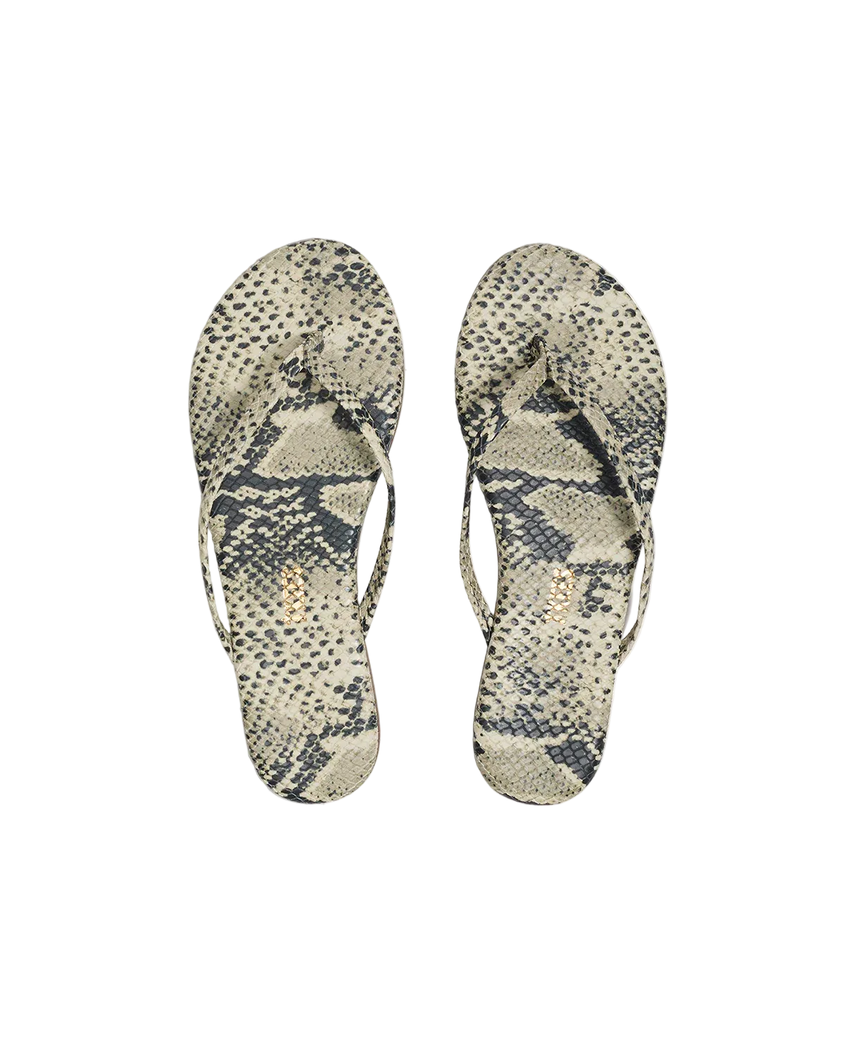 Sandsnake-Studio Exotic | Sandsnake