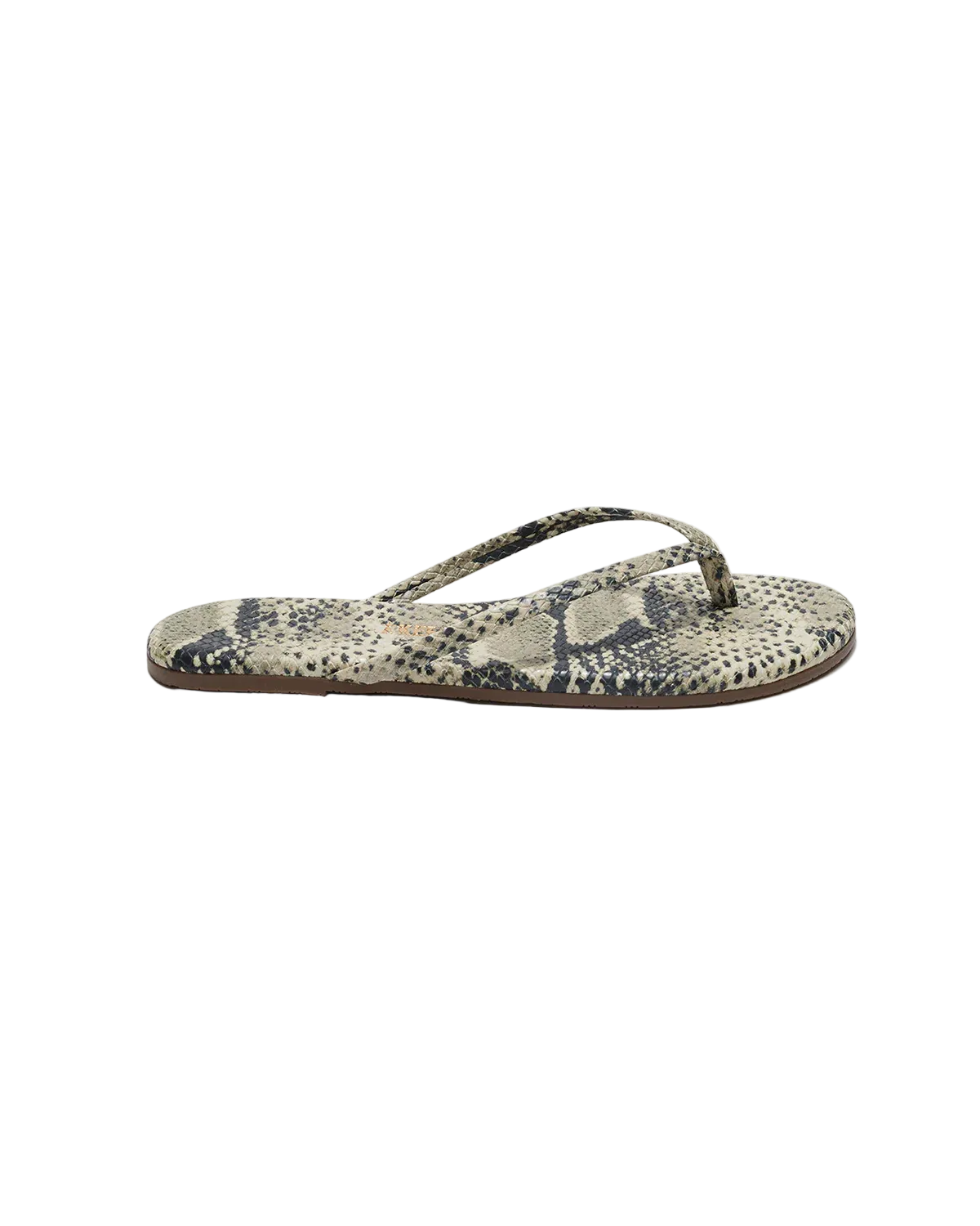 Sandsnake-Studio Exotic | Sandsnake